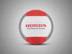 Волейбольный мяч Honda 08MLW11GBVB